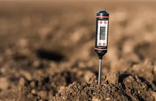 A digital probe taking a reading directly in the soil